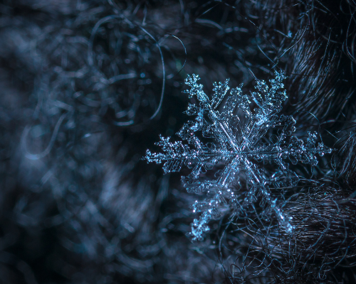 close up photograph of a snowflake crystal